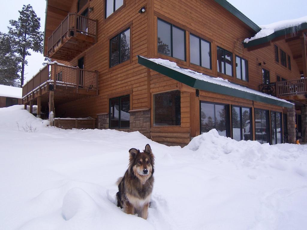 Elktrace Bed And Breakfast 파고사스프링스 외부 사진